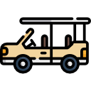 Safari ticket